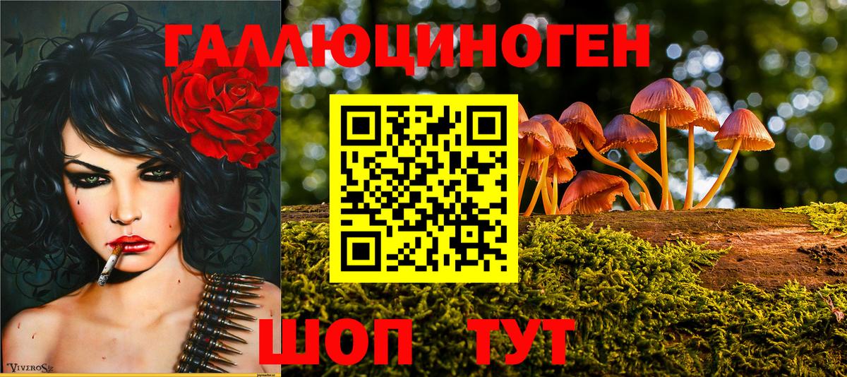Галлюциногенные грибы мицелий Можга